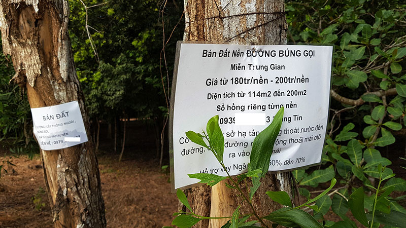 Cò đất làm giàu ở đại công trường Phú Quốc